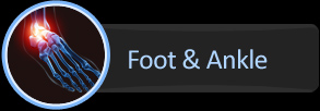 Foot & Ankle
